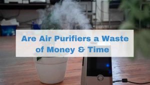 Are Air Purifiers a Waste of Money