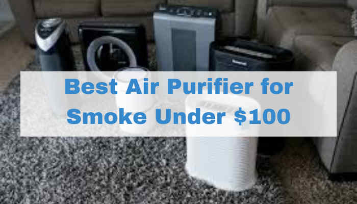 Best Air Purifier for Smoke Under $100