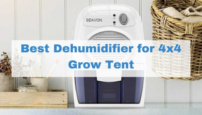 Best-Dehumidifier-for-4x4-Grow-Tent