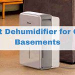 Best Dehumidifier for Cold Basement