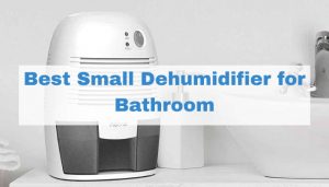 Best-Small-Dehumidifier-for-Bathroom