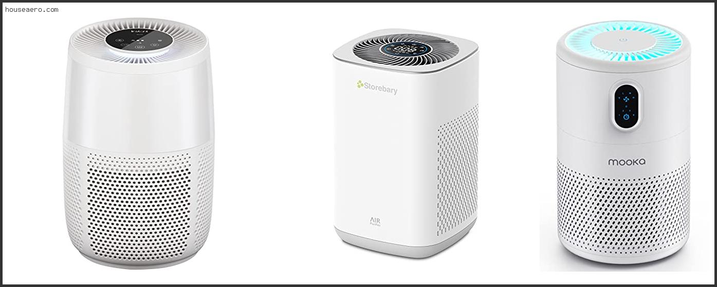 Best Air Purifier For Smoke Cooking In Large Room Under 100