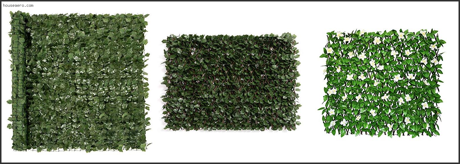 Top 10 Best Faux Ivy Privacy Screen 2022